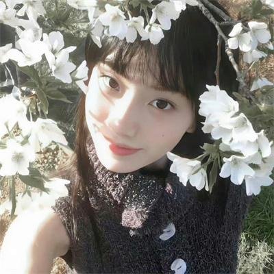 颠父人生